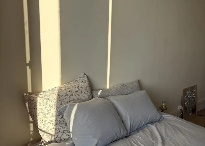 Sunny With Seine View