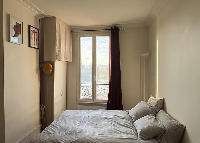 Sunny With Seine View